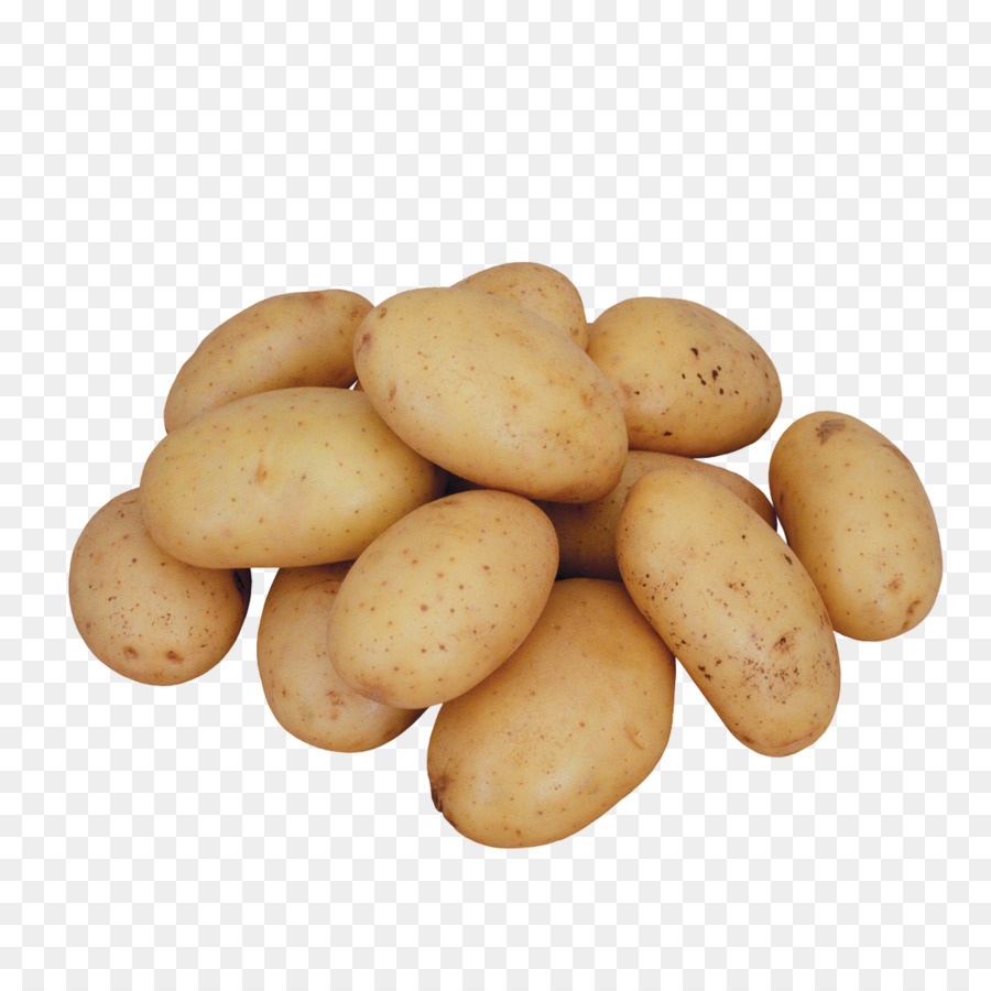 Kartoffel-Zwiebel-Piyaz Yukon Gold Kartoffel Russet Burbank - Kartoffel