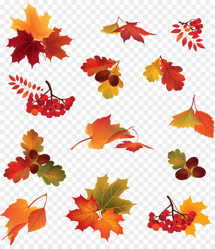 Bacca di colore delle foglie in Autunno - foglie di autunno