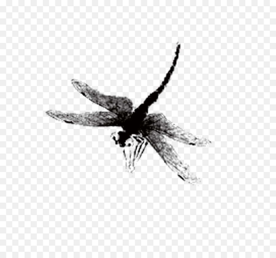 Libelle Aquarell-Malerei - Dragonfly Tinte