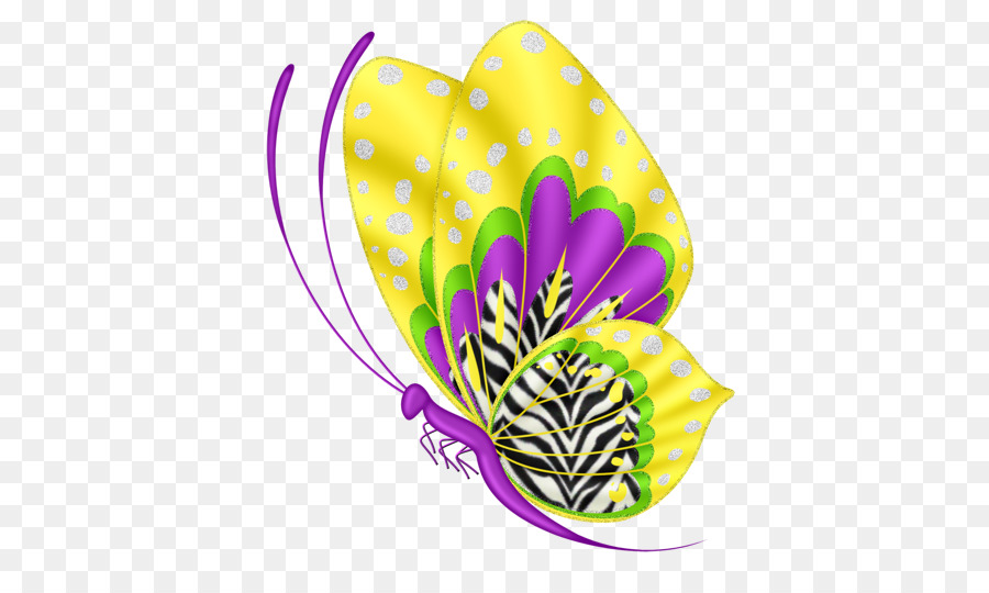 Bướm Papillon chó Clip nghệ thuật - vàng bướm