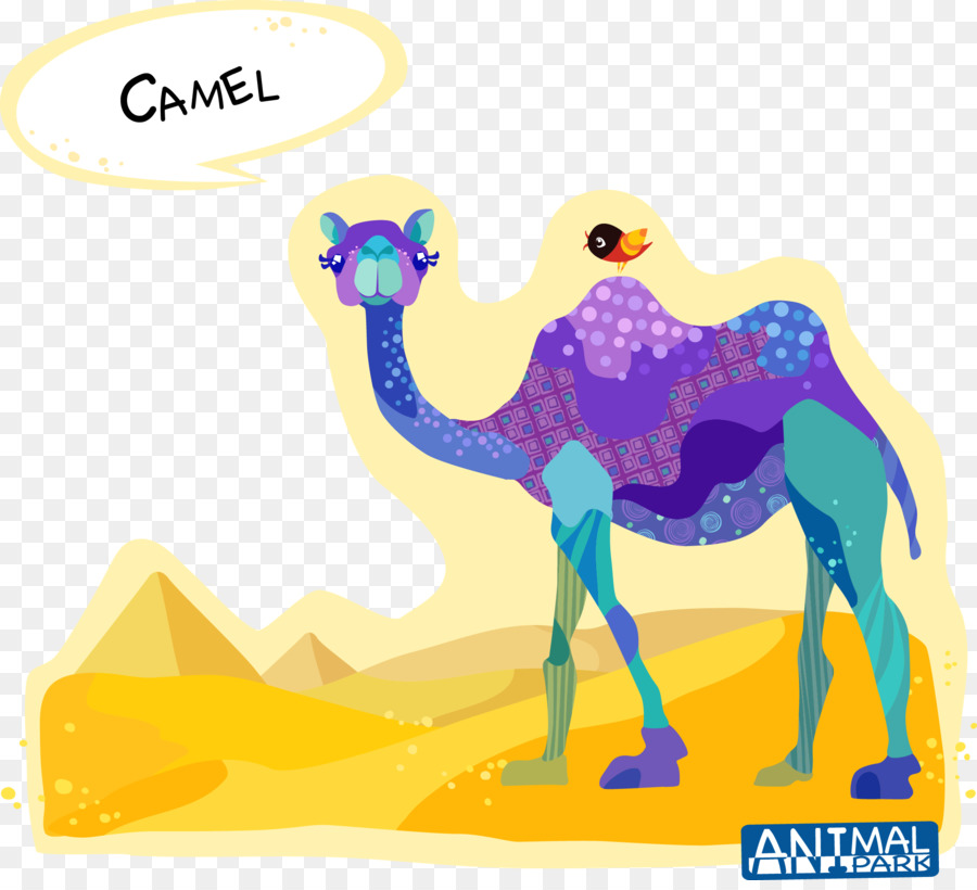 Dromedar baktrischen Kamel-Cartoon-Zeichnung - Kreative Kamel-Vektor