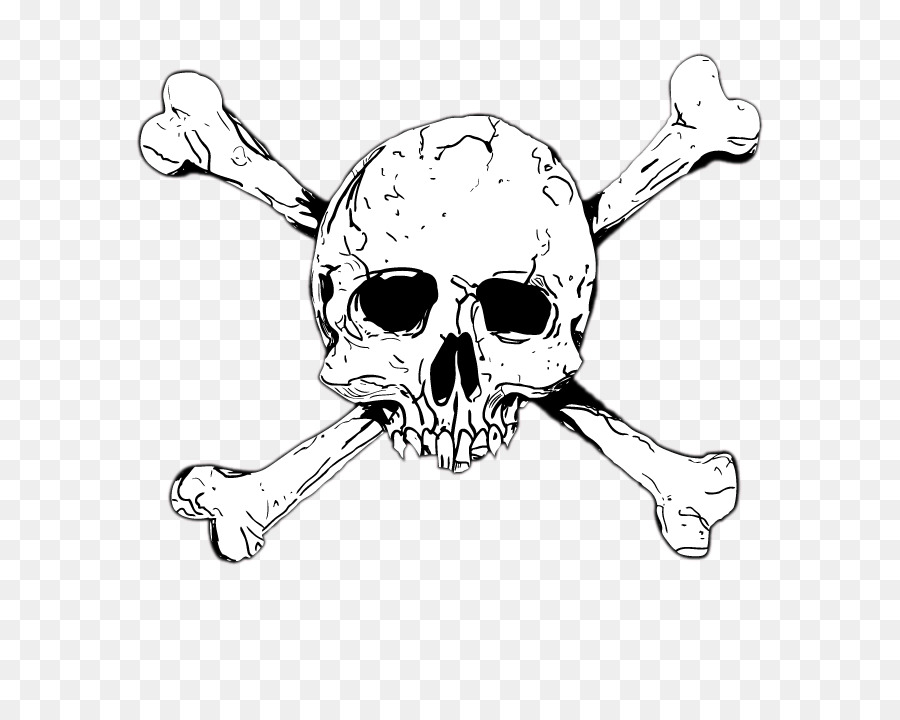 Cranio Clip art - scheletro materiale