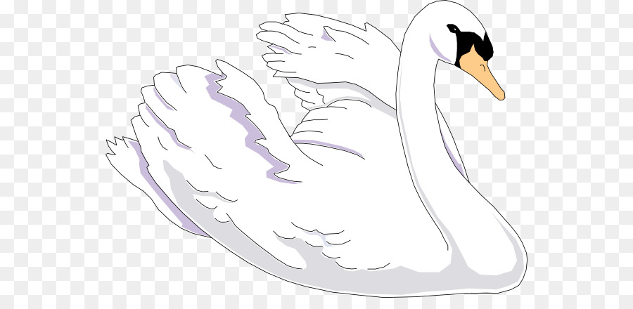 Trumpeter swan Bird Free content-clipart - Maiko Cliparts