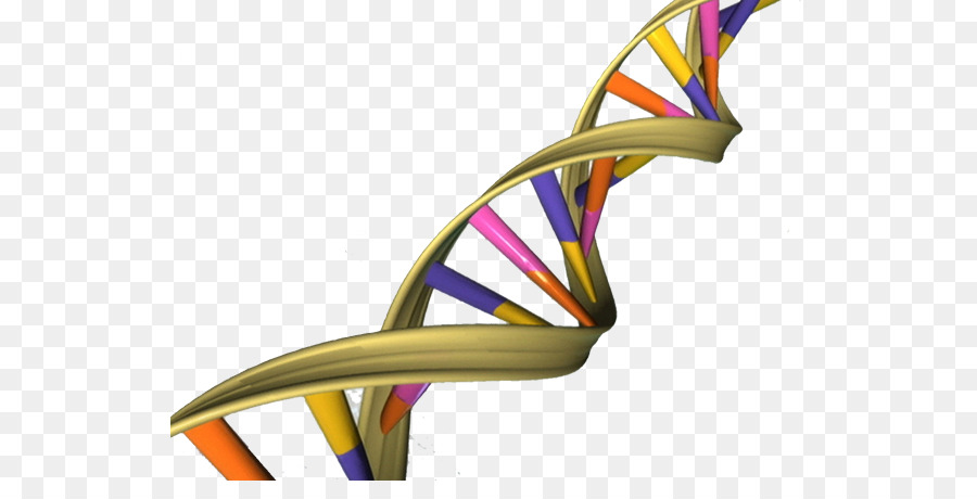 Die Doppel-Helix: Ein Persönlicher Bericht über die Entdeckung der Struktur der DNA-Nukleinsäure-Doppel-helix-DNA-Genom - Doppelhelix