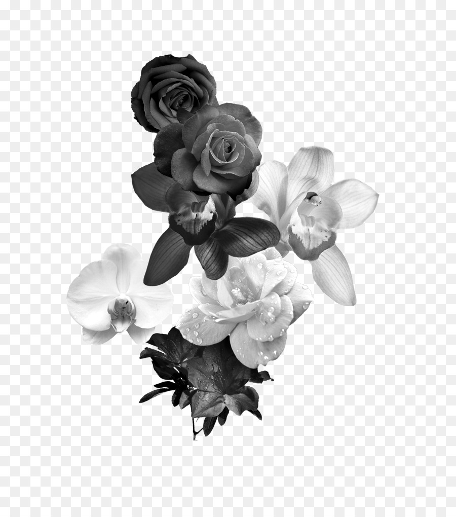 Schwarz und weiß Blumen Monochrome Fotografie - Schwarze und weiße Rosen
