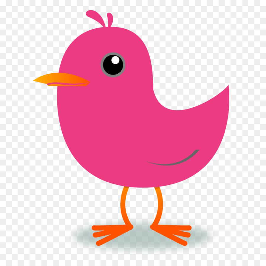 Vogel Northern cardinal Clip-art - Tweet Cliparts