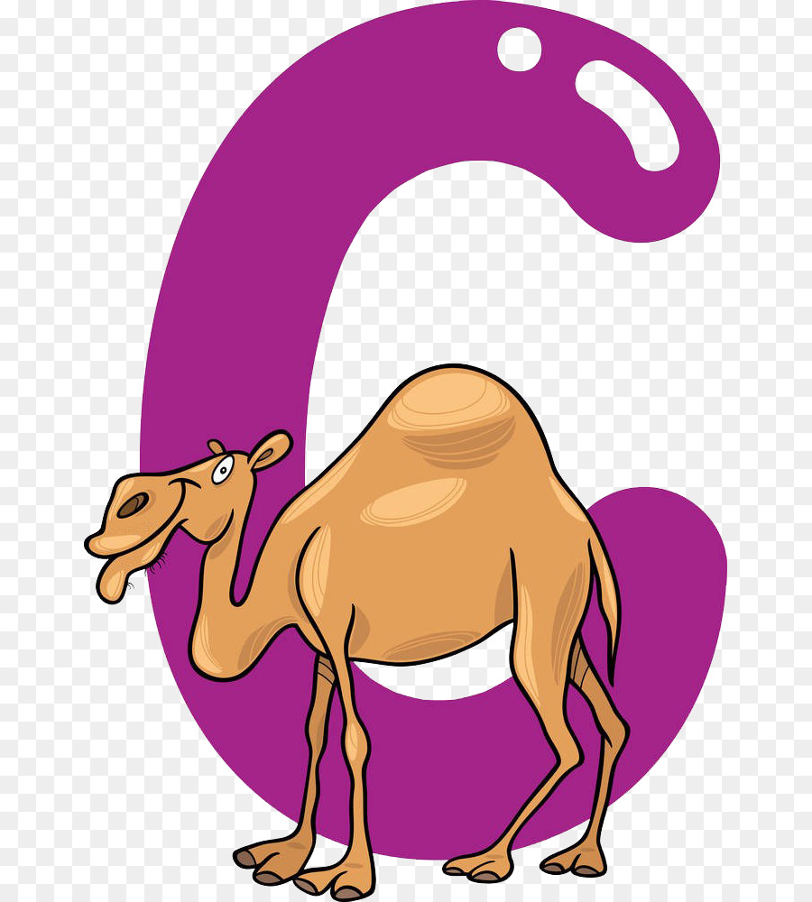 Fotografia Stock Royalty free Cartoon Illustrazione - C davanti al cammello