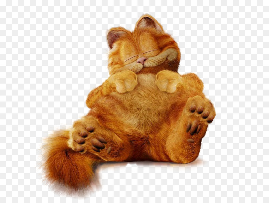 Sfondo Di Garfield - piccola tigre carina