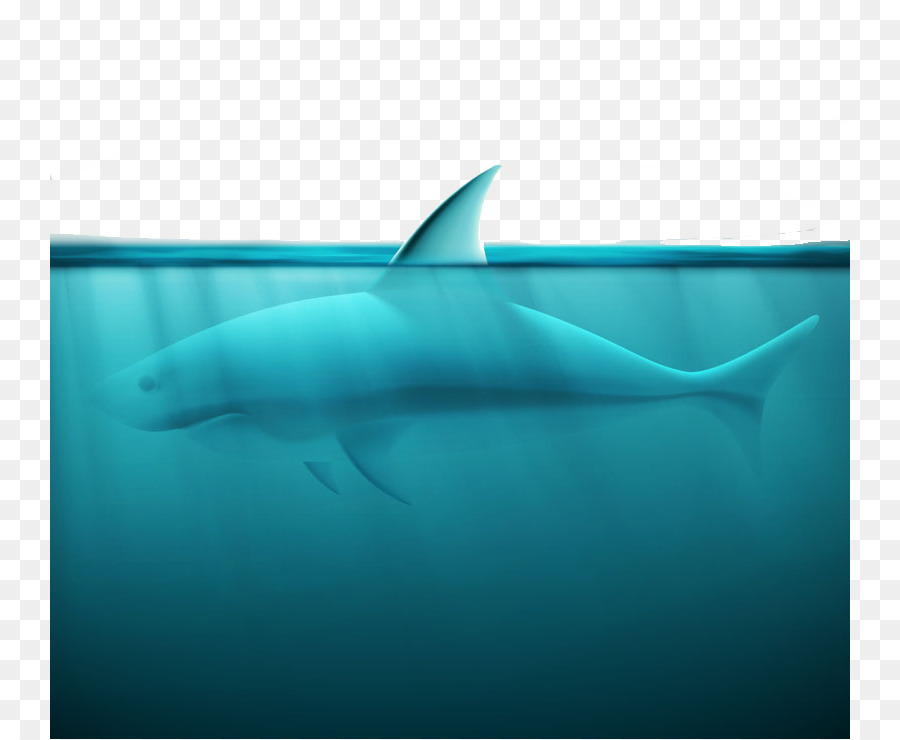 Grande squalo bianco Spinner delfino Squaliformes squalo Tigre - Oceano squalo disegno vettoriale materiale