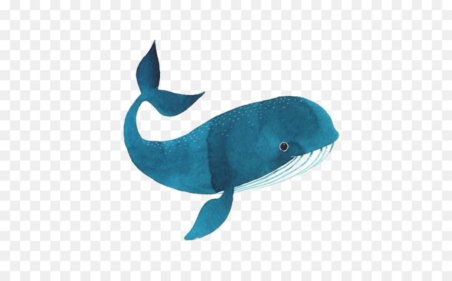 Schwertwal Zeichnung-Aquarell-Illustration - Wal