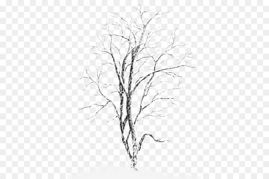 ClipArt albero di betulla d'argento - Alberi ricoperti di neve