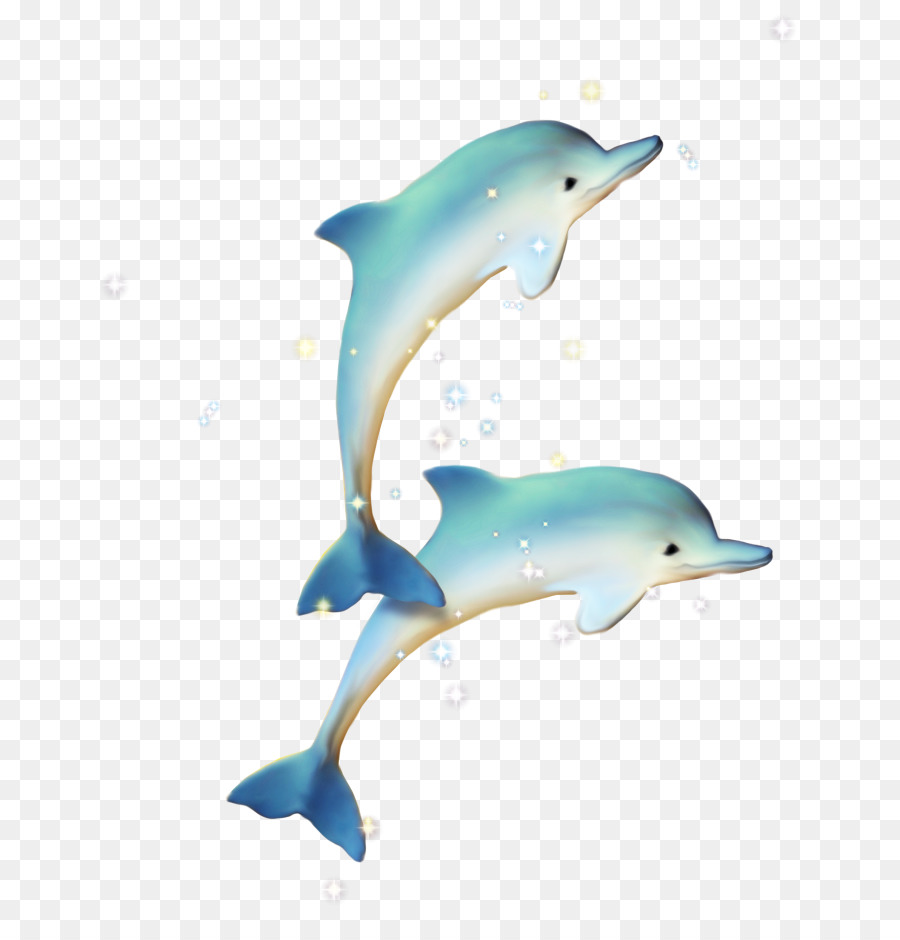 Chung cá heo Ngắn có mỏ chung dolphin Tucuxi - màu xanh dolphin