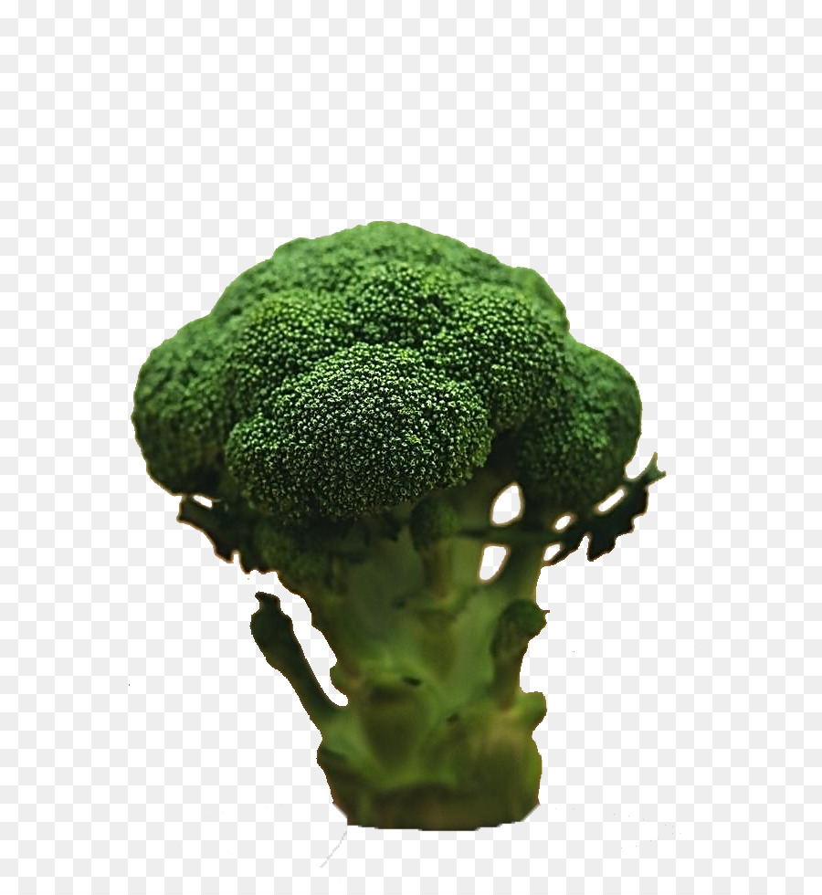 Brokkoli-Gemüse-Lebensmittel-Diät-Stock Fotografie - Produkt-Art Brokkoli