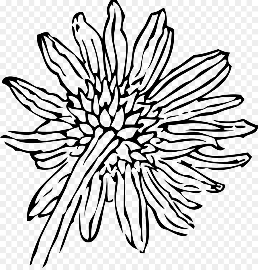 Black And White Flower Png Download 1331 1379 Free Transparent
