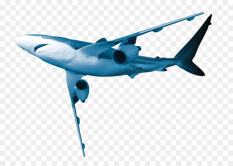 Great white shark Flugzeug - Dolphin aircraft
