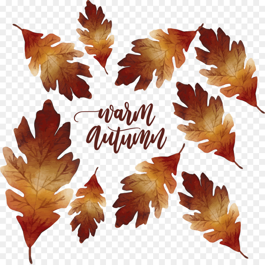 Foglia di acero, Autunno Latifoglie - foglie di autunno