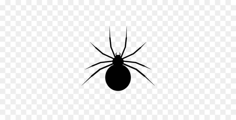 Insetto disegno in bianco e Nero - Spider web, Icona