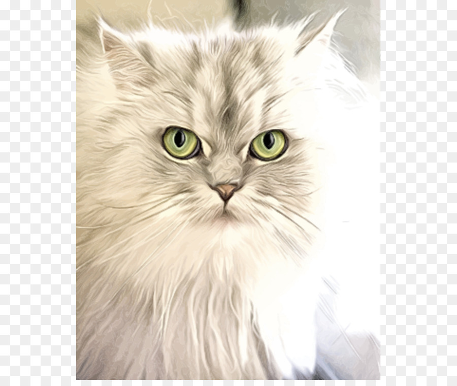 Katze Kätzchen Felidae Hund Tierarzt - Portrait Malerei Cliparts