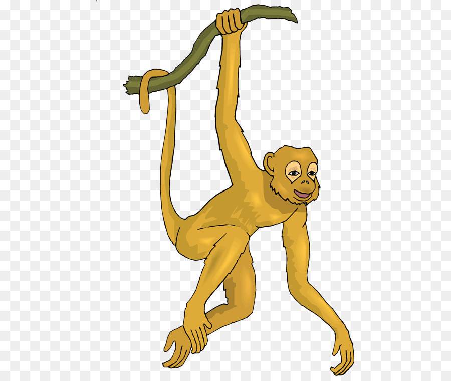 La scimmia ragno Ape Clip art - la scimmia ragno foto gratis