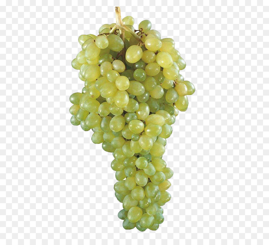 Vektor-Kyoho Weintraube Obst - Ein Bündel von Trauben
