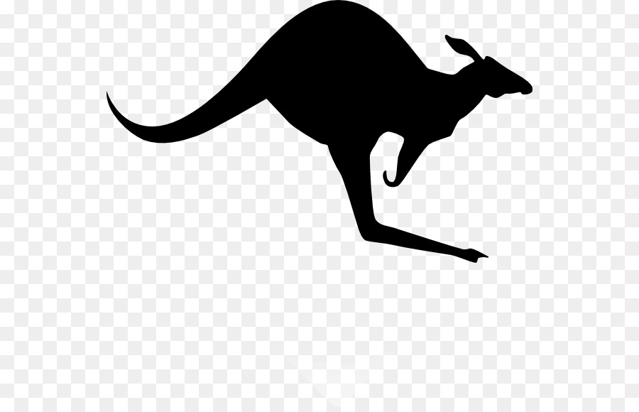 Koala Red kangaroo Clip-art - Kängurus Cliparts