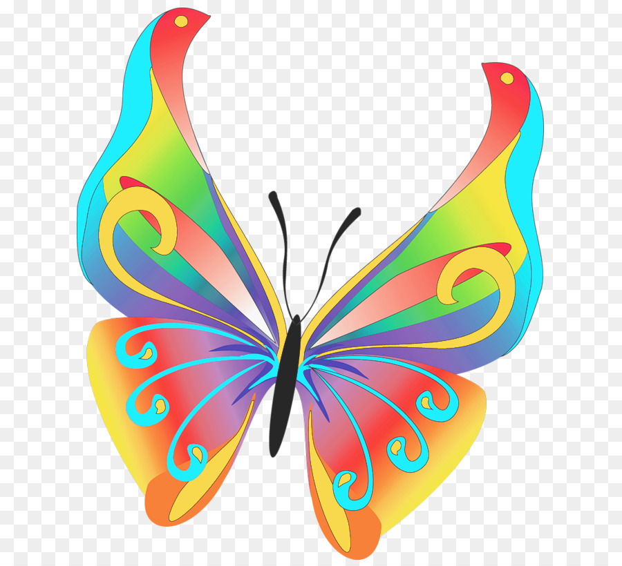 Butterfly Free Clip art - farfalle clipart