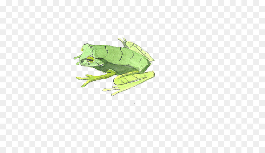 Aquarell Abbildung - Frosch
