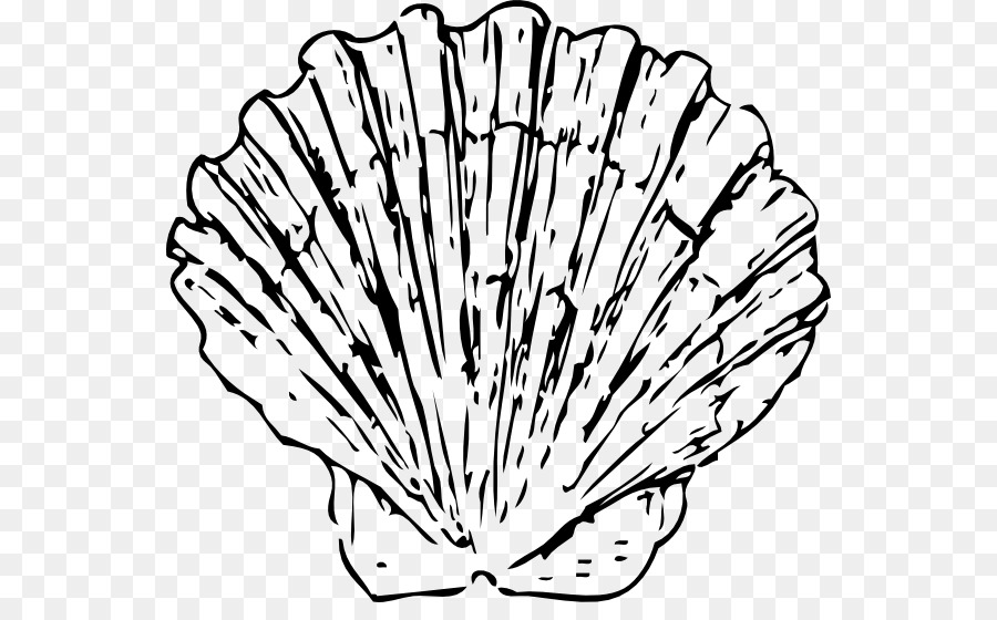Seashell-Muschel-Blau clipart - Shell Umriss