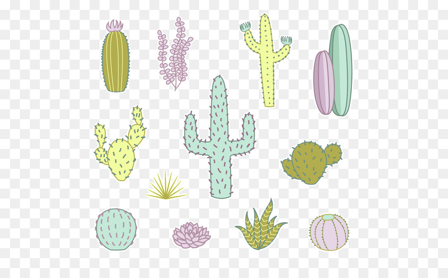 Cactaceae Sukkulente Zeichnung Clip art - Cartoon Kaktus Sukkulenten