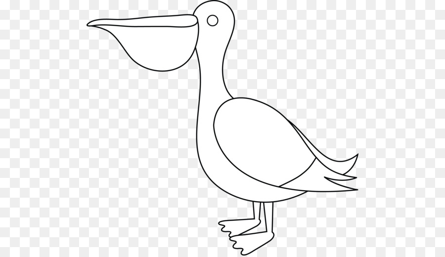 Vịt Trắng Dòng nghệ thuật Clip nghệ thuật - pelican.
