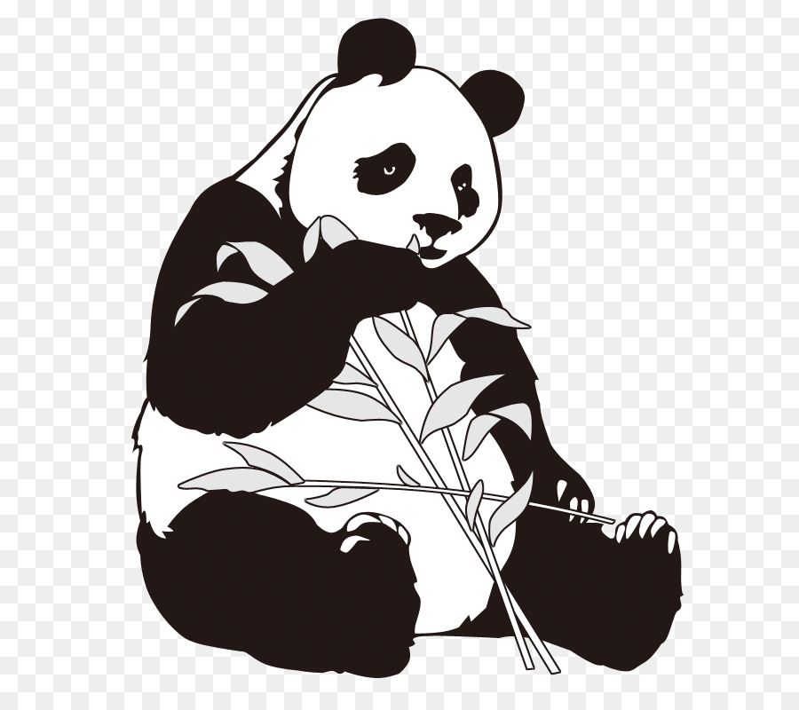 Bamboo Cartoon png download - 800*800 - Free Transparent Giant Panda png  Download. - CleanPNG / KissPNG