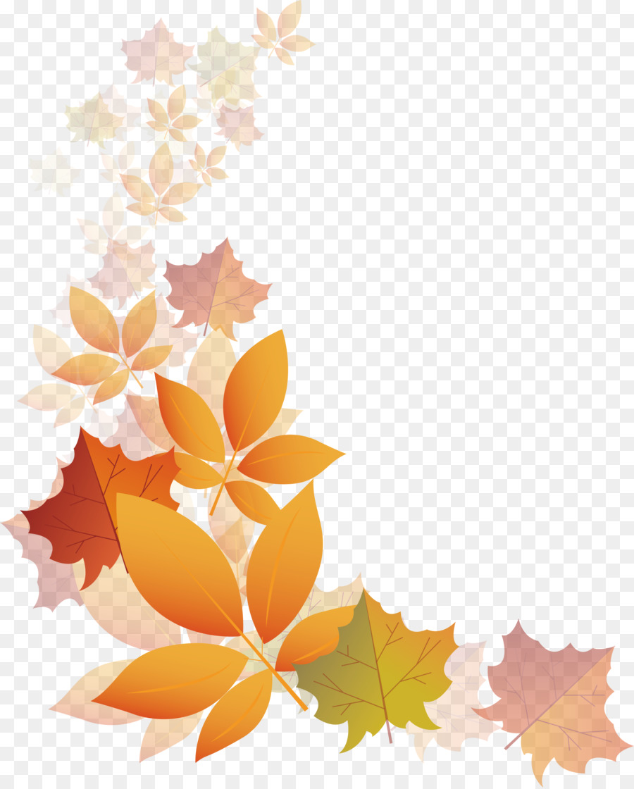 In autunno la Trasparenza e la brillantezza - Traslucido foglie di autunno