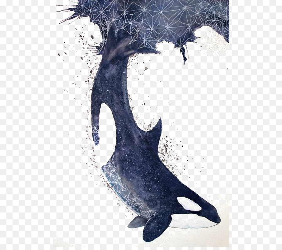 Orca Balena del Bambino Sea lion balena Blu - Balena blu