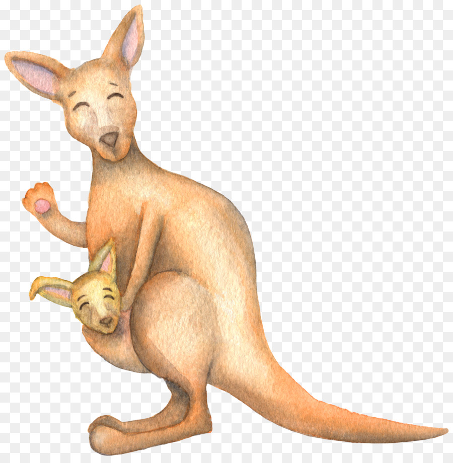 Koala-Känguru-Cartoon - Tinte fee gemalt Känguru