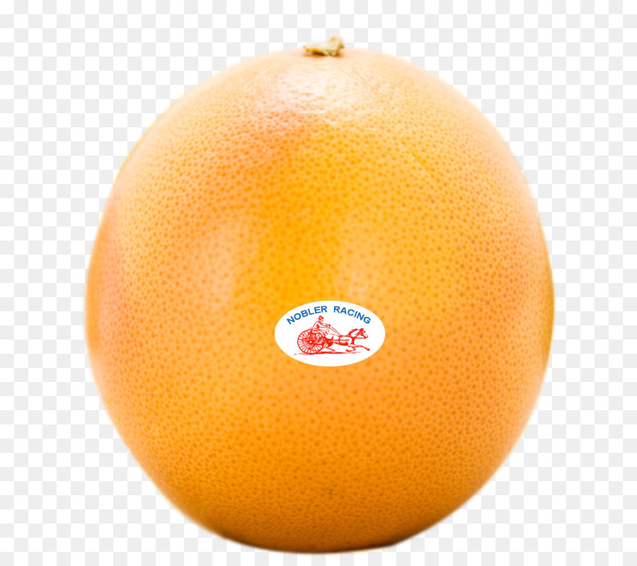 Clementine Grapefruit Mandarine Orange Pomelo - HD-grapefruit close-up