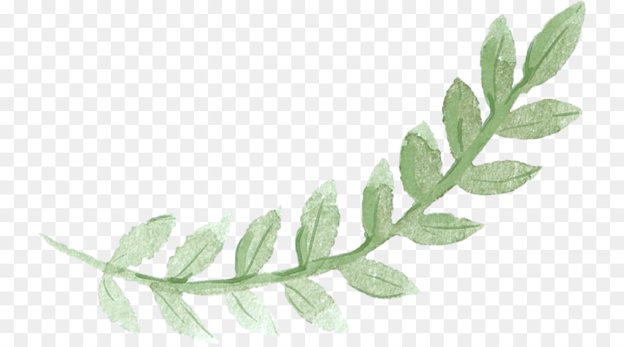 Sydney-Brunch Pfannkuchen-Aquarell - Grüne Blätter