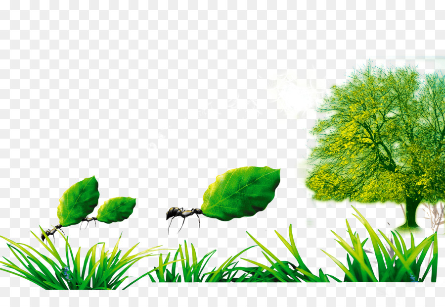 Thấp-cacbon, nền kinh tế Quảng cáo công Khai Khẩu hiệu - cỏ xanh