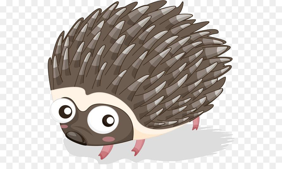 Hedgehog Porcupine