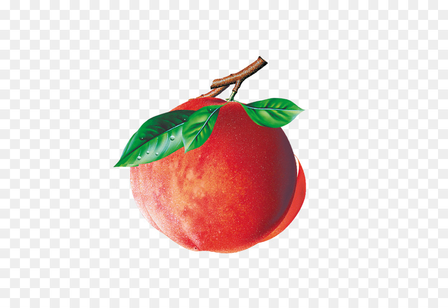 Peach Auglis Essen - peach