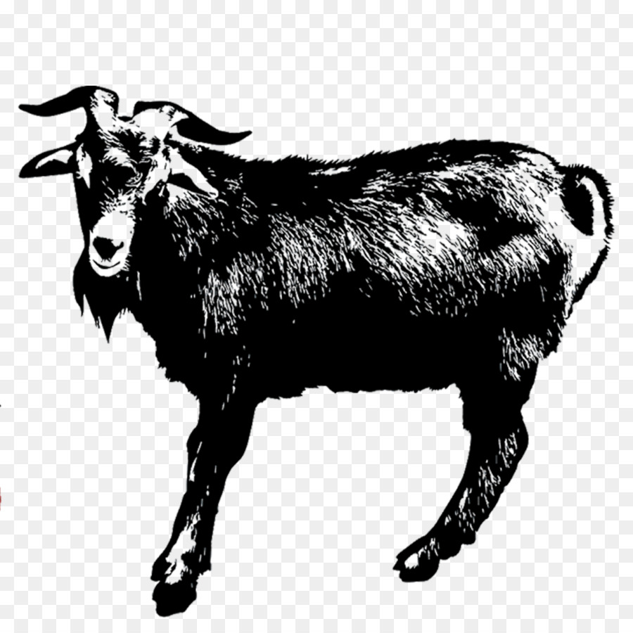 Cartoon Sheep png download - 1500*1500 - Free Transparent Goat png  Download. - CleanPNG / KissPNG