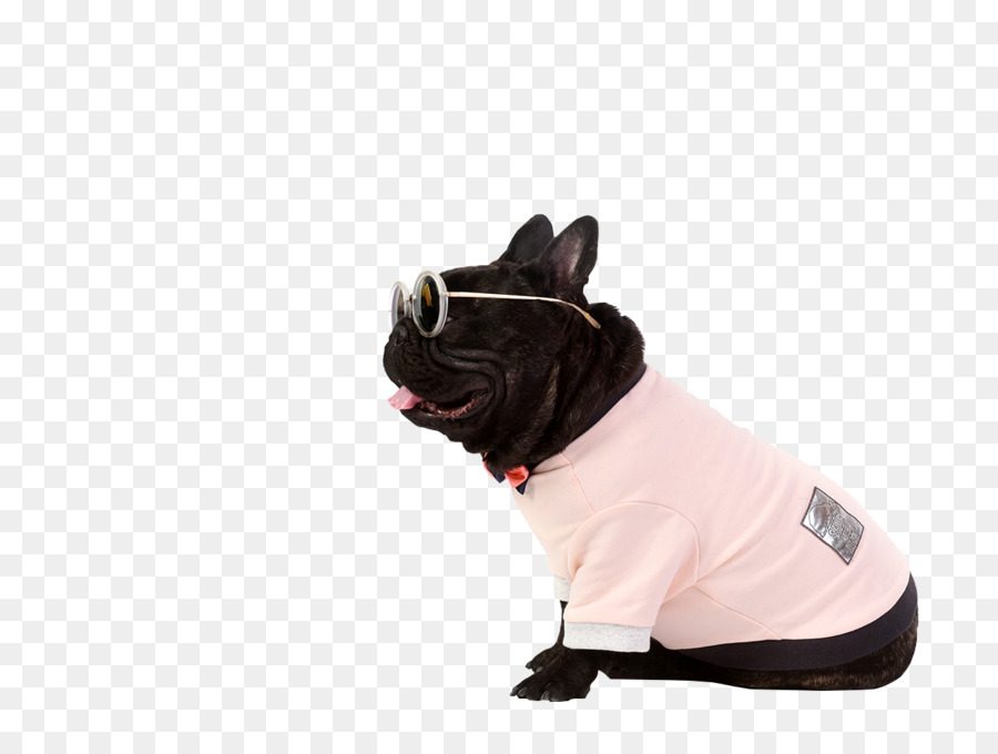 Französische Bulldogge-Hunderasse Welpe Haustier - Bebrillte Mode Haustier Hund