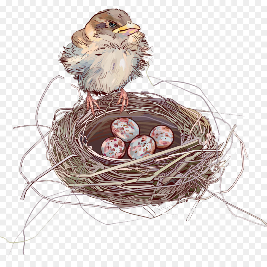 Nhà Sparrow Chim yến, Chim yến - phim hoạt hình nest png tải về ...