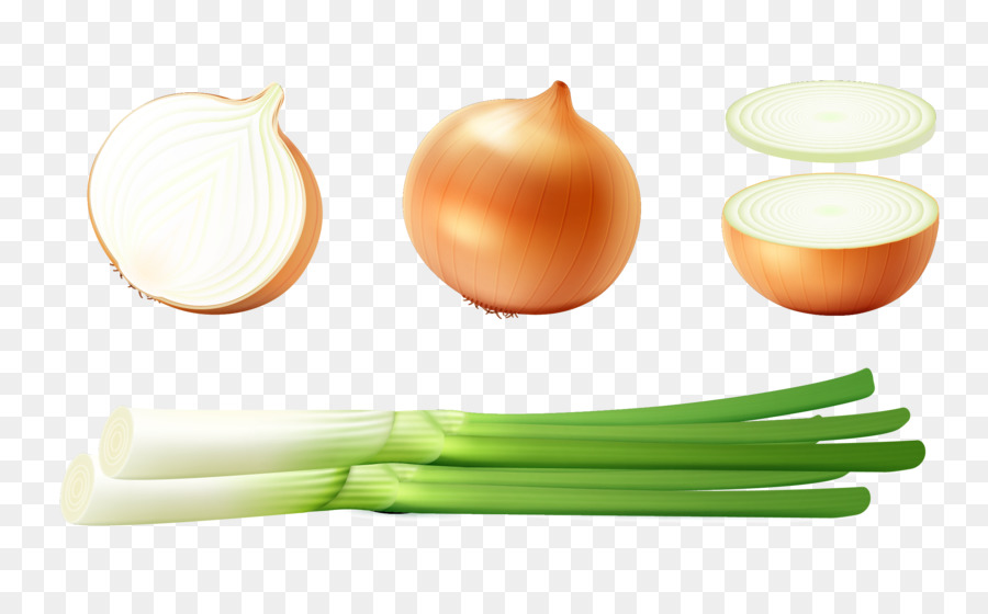 Zwiebel-Diät-Lebensmittel - Vektor-grüne Zwiebeln