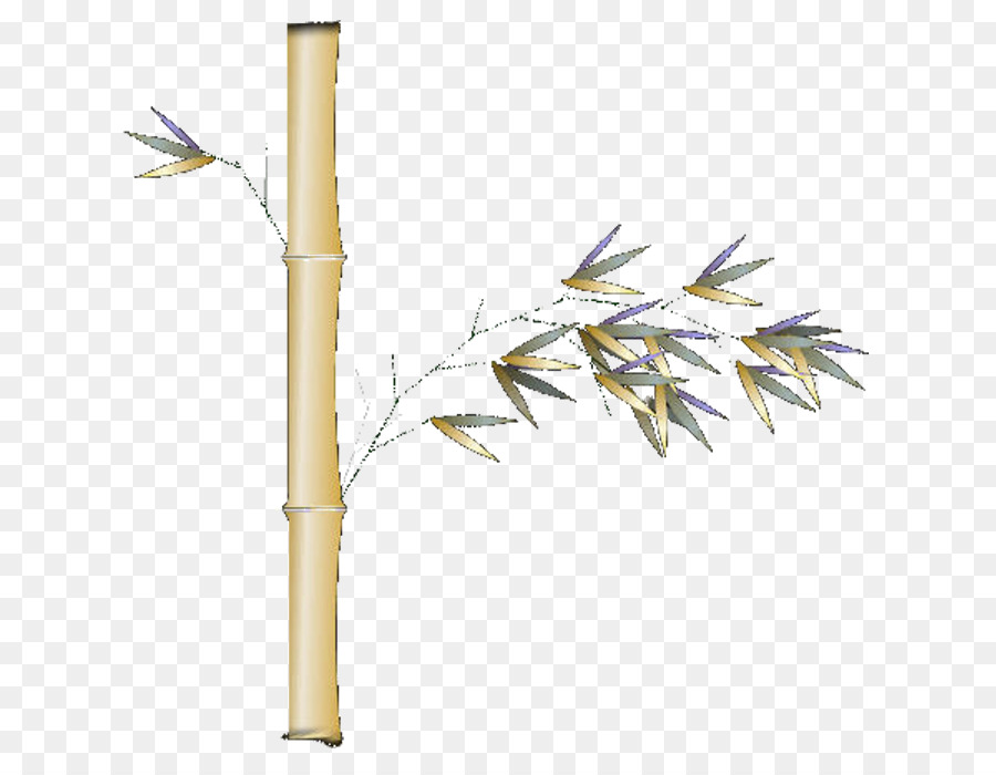 Bamboe Bambus Chrysantheme - Bambus