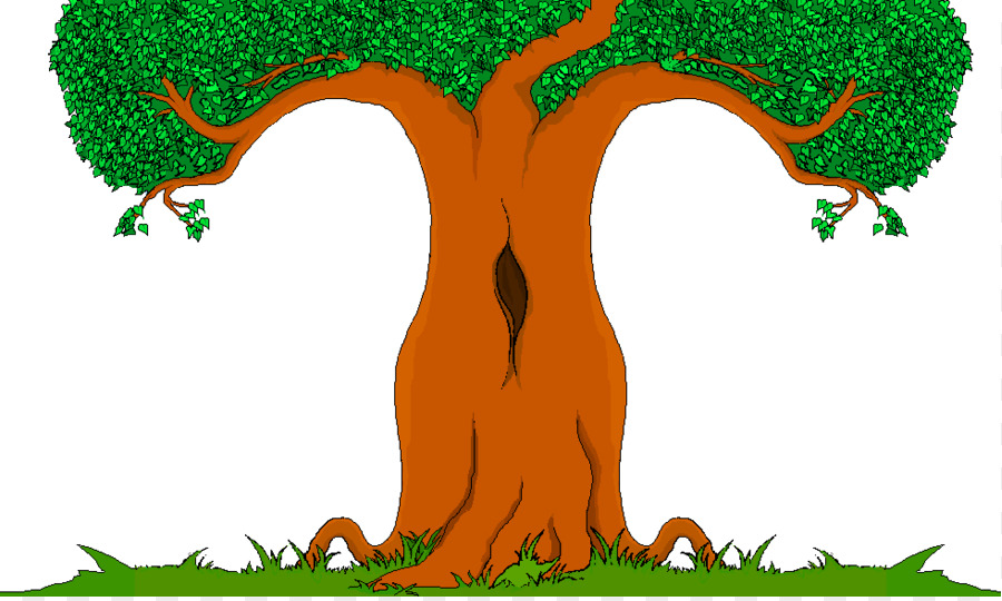 Cartoon Albero di Disegno Clip art - albero di cartone animato png