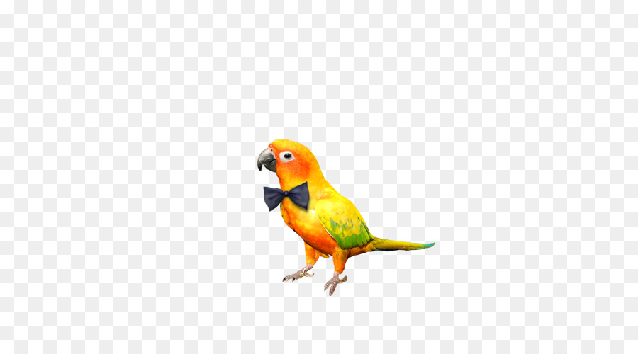 Papagei Vogel Gratis - parrot
