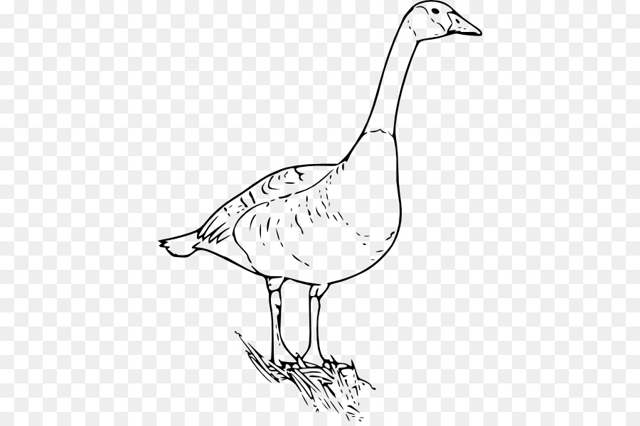Ngỗng Canada Chim Clip nghệ thuật - goose.