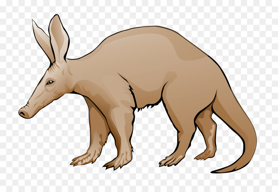 Aardvark Wildlife