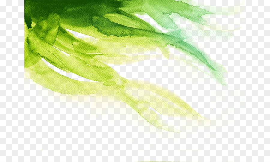 Grün, Aquarell Abbildung - Wasser, Kreide, Pinsel