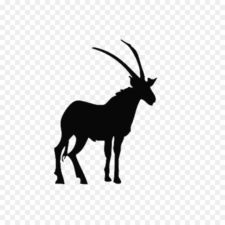 Animal Antelope